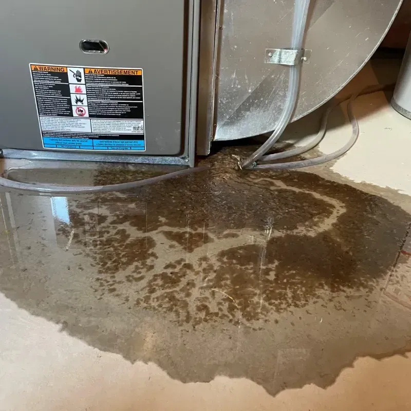 Appliance Leak Cleanup in Huntingburg, IN